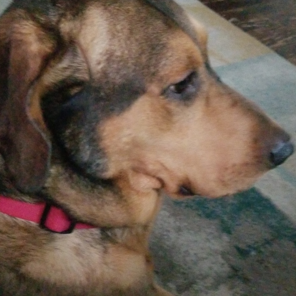 Meet your Posher, Cassie